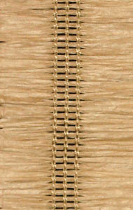 Cabo Palm 